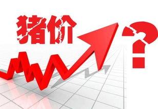 猪价最新爆料新闻网站,最新爆料揭示市场动态与养殖户困境  第3张