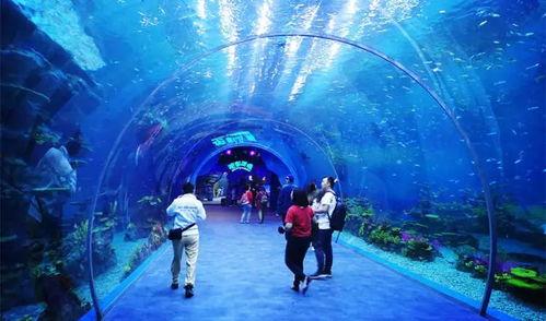 海洋最新爆料消息视频播放,揭秘神秘水下世界奇观 第2张 海洋最新爆料消息视频播放,揭秘神秘水下世界奇观 第2张