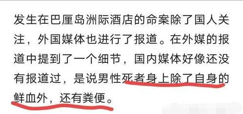 凶杀案爆料范文最新章节,凶杀案爆料最新章节揭秘 第1张 凶杀案爆料范文最新章节,凶杀案爆料最新章节揭秘 第1张